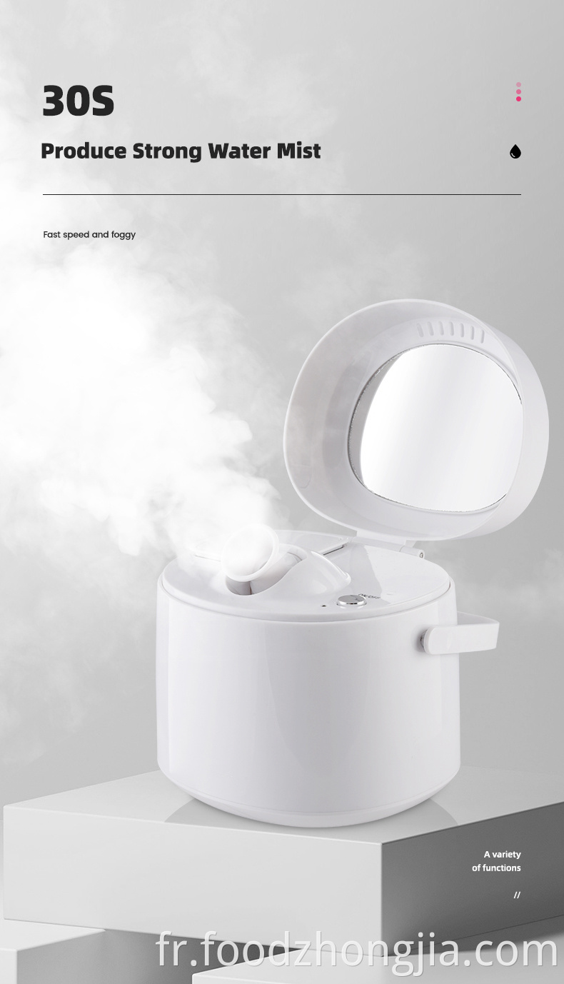 Hot Mist Facial Home Spa Hot ionic Mist pulvérisateur ionic pulvérisation nano bateau à vapeur facial portable